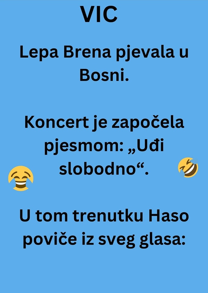 VIC DANA: Koncert Lepe Brene