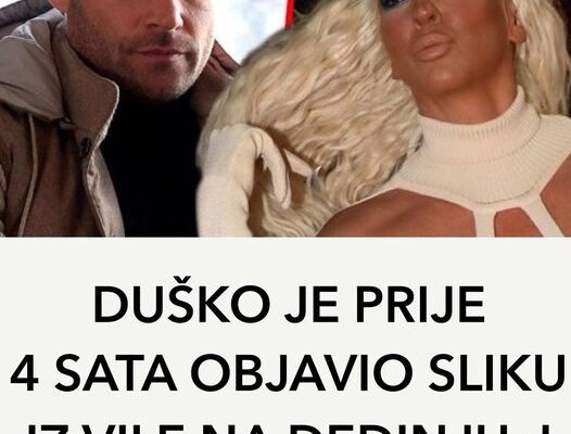 DUŠKO JE PRIJE 4 SATA OBJAVIO SLIKU IZ VILE NA DEDINJU: I sada je sve jasno