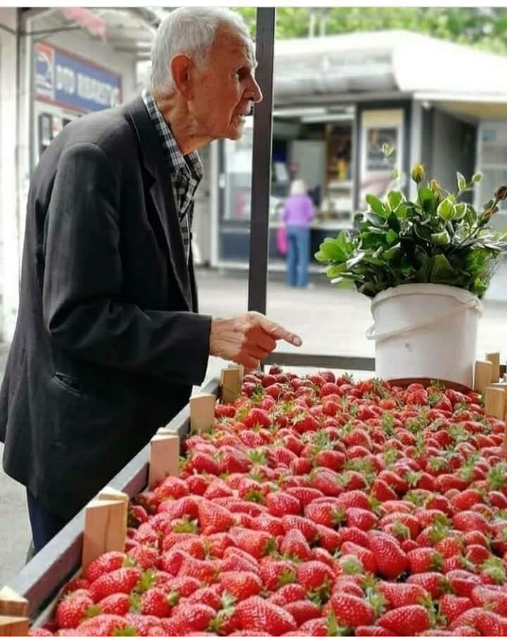 Starac i jagode