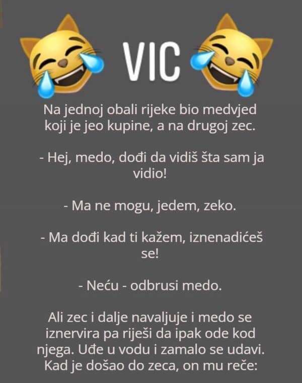 Vic dana: Medvjed i zec na rijeci