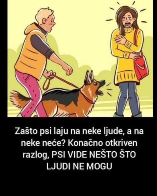 Zašto psi laju na neke ljude, a na neke neće? Konačno otkriven razlog, PSI VIDE NEŠTO ŠTO LJUDI NE MOGU