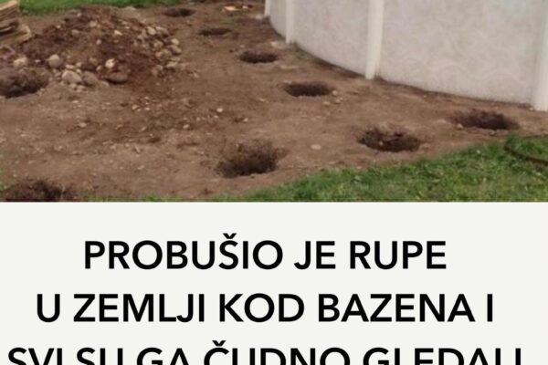 PROBUŠIO JE RUPE U ZEMLJI KOD BAZENA I SVI SU GA ČUDNO GLEDALI: Nekoliko dana poslije ostali su bez riječi