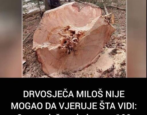 DRVOSJEČA MILOŠ NIJE MOGAO DA VJERUJE ŠTA VIDI: Ovo se dešava jednom u 100 godina! Posjekao stablo i ostao u čudu (VIDEO)