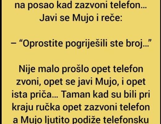 Vic: Mujo i Fata ručaju