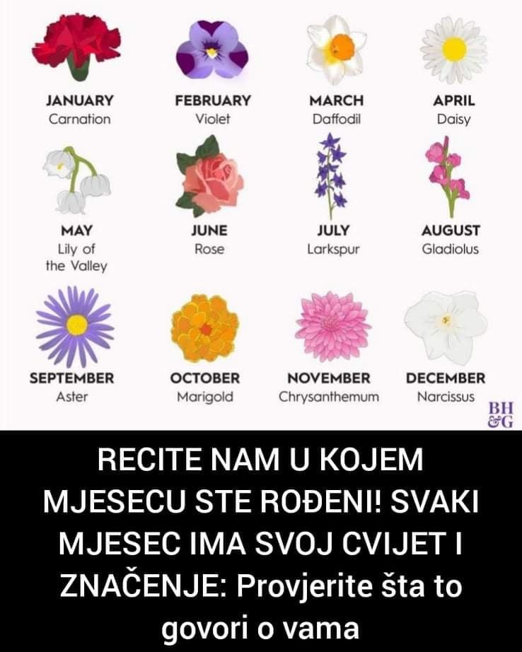 RECITE NAM U KOJEM MJESECU STE ROĐENI! SVAKI MJESEC IMA SVOJ CVIJET I ZNAČENJE: Provjerite šta to govori o vama