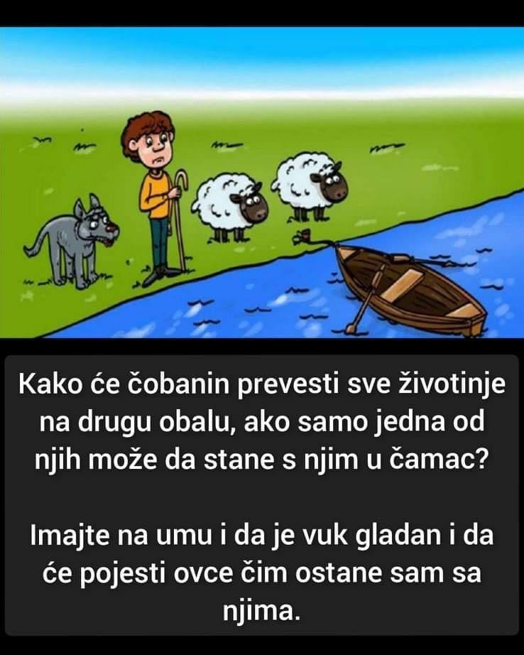 MOZGALICA: Kako Prevesti Ovce I Vuka Na Drugu Stranu, Ako Jedna Životinja Može U Čamac?