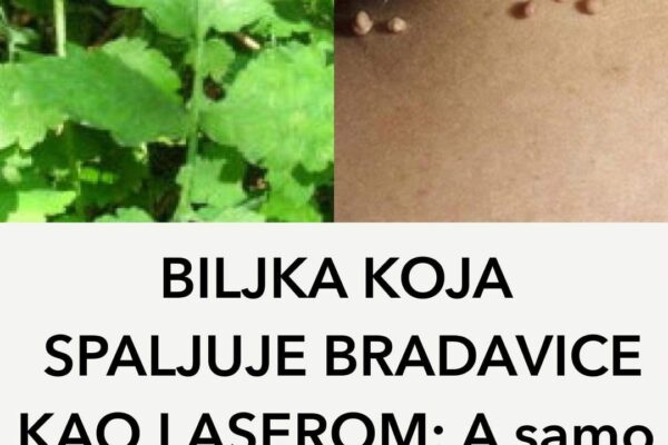 SVAKO JUTRO JE JELA 1 LIST ČUVARKUĆE: Kad je otišla u bolnicu doktor se hvatao za glavu -EVO ŠTA SE DESILO NJENOM TIJELU