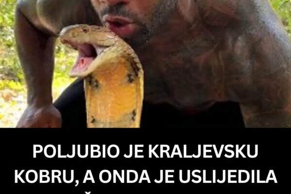 POLJUBIO JE KRALJEVSKU KOBRU, A ONDA JE USLIJEDILA NJENA ŠOKANTNA REAKCIJA: Snimak Od Kojeg Se DIŽE KOSA NA GLAVI