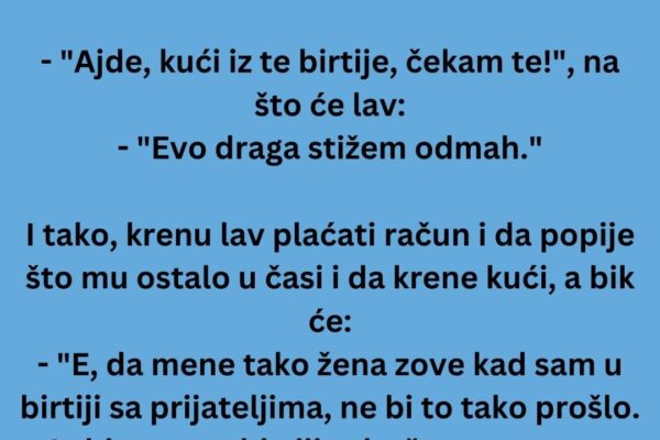 VIC DANA: Lav i bik u birtiji