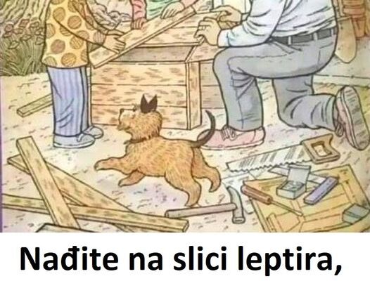 Nađite Na Slici Leptira, Patku I Šišmiša: Ako Ih Ne Vidite, Preti Vam Demencija