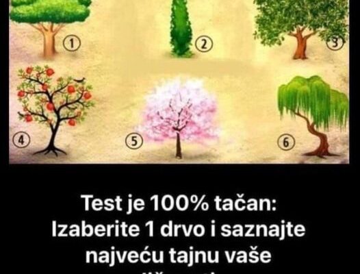 TEST JE TAČAN 100%! IZABERITE JEDNO DRVO, evo kakva ste zapravo osoba: OTKRIVA NAJDUBLJU TAJNU VAŠE LIČNOSTI