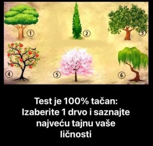 TEST JE TAČAN 100%! IZABERITE JEDNO DRVO, evo kakva ste zapravo osoba: OTKRIVA NAJDUBLJU TAJNU VAŠE LIČNOSTI