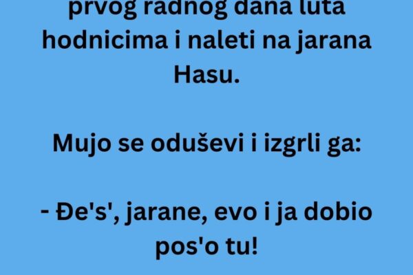 VIC DANA: Mujo u državnoj firmi