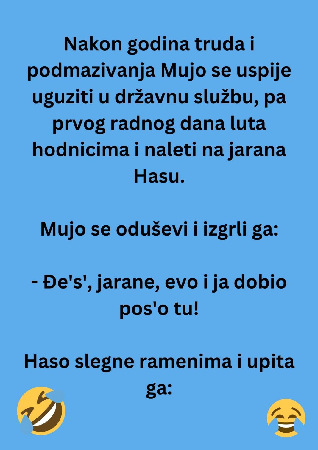 VIC DANA: Mujo u državnoj firmi