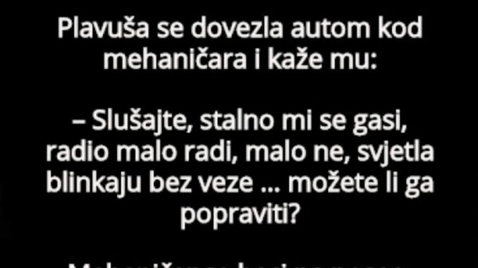 Plavuša se dovezla auto kod mehaničara i kaže mu: