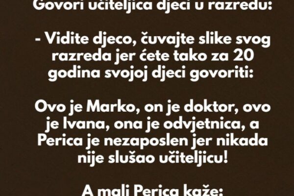 VIC DANA: UČITELJICA I PERICA