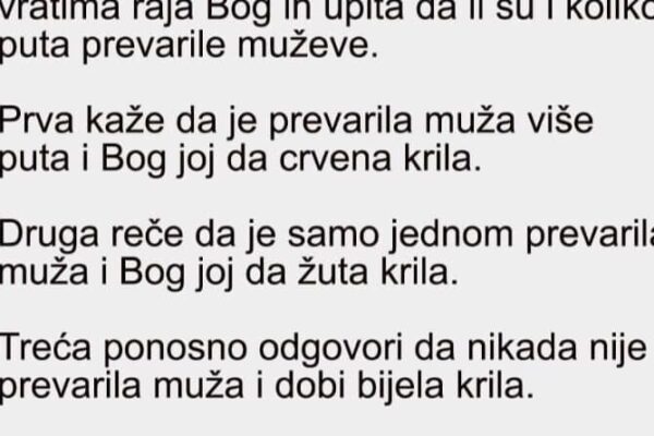 VIC DANA: Umrle tri žene i otišle na nebo