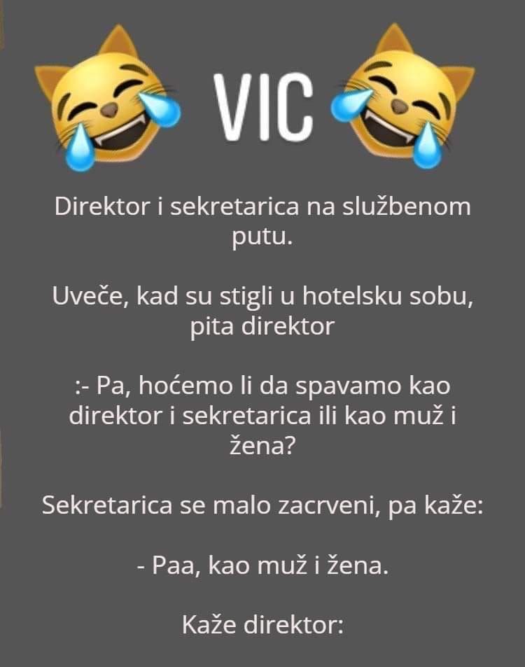 VIC DANA: Sekretarica