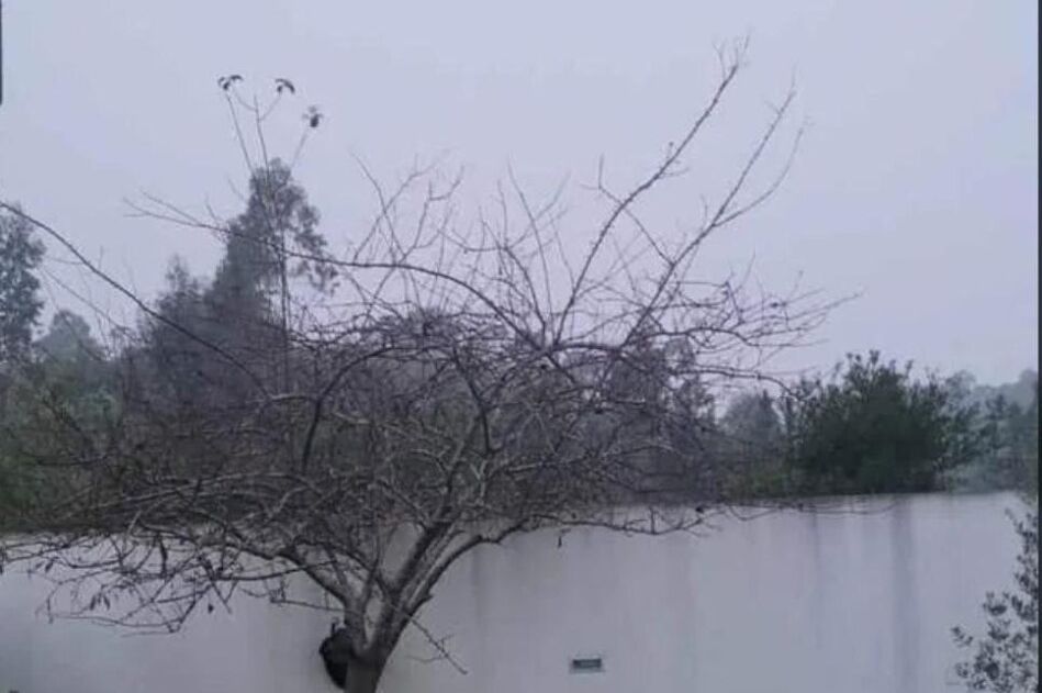 OPTIČKA ILUZIJA KOJA ĆE VAM POMUTITI UM: Vidite li jezero ili zid na ovoj fotografiji?