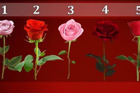 DA LI ĆE VAM SE ISPUNITI NAJVEĆA ŽIVOTNA ŽELJA: Izaberite jednu ružu sa slike i saznajte istinu