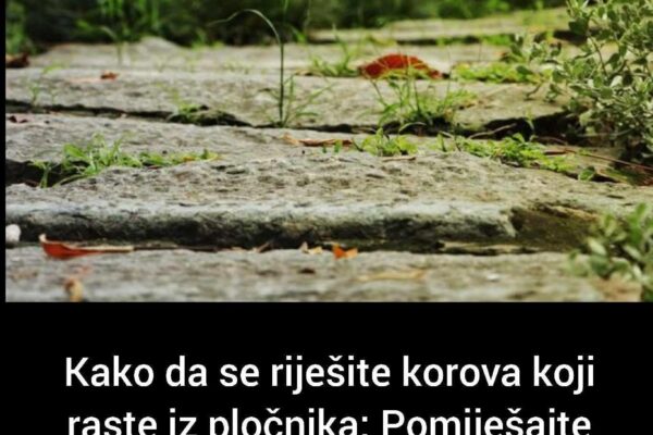 Kako da se riješite korova koji raste iz pločnika: Pomiješajte ova 3 SASTOJKA I VIŠE NEĆE NICATI