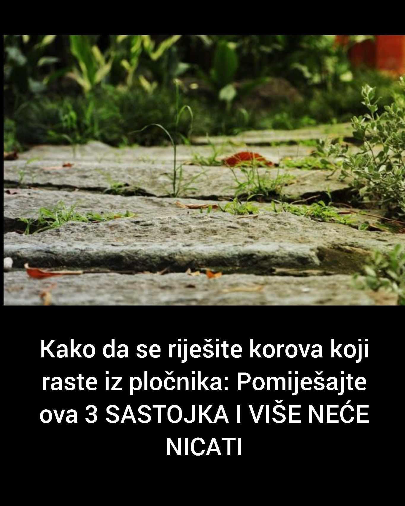 Kako da se riješite korova koji raste iz pločnika: Pomiješajte ova 3 SASTOJKA I VIŠE NEĆE NICATI