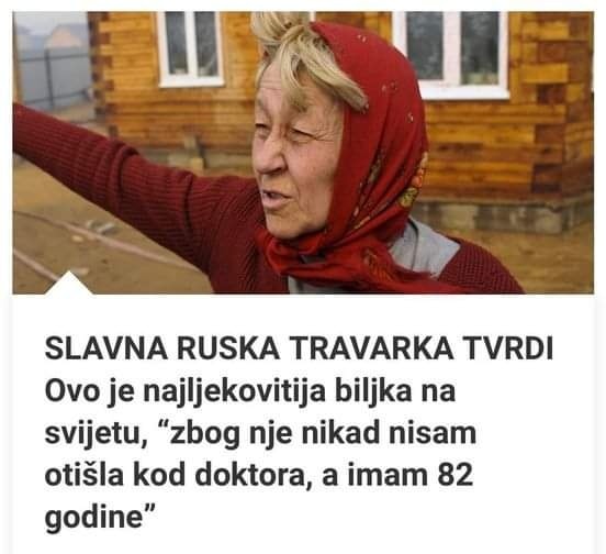 SLAVNA RUSKA TRAVARKA TVRDI Ovo je najljekovitija biljka na svijetu, “Zbog nje nikad nisam otišla kod doktora, a imam 82 godine”